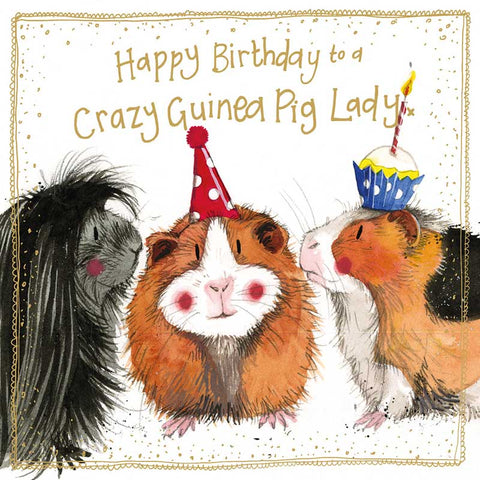 Birthday card with three guinea pigs