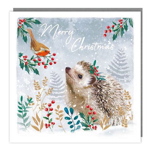 Hedgehog Charity Christmas Card Pack of 5