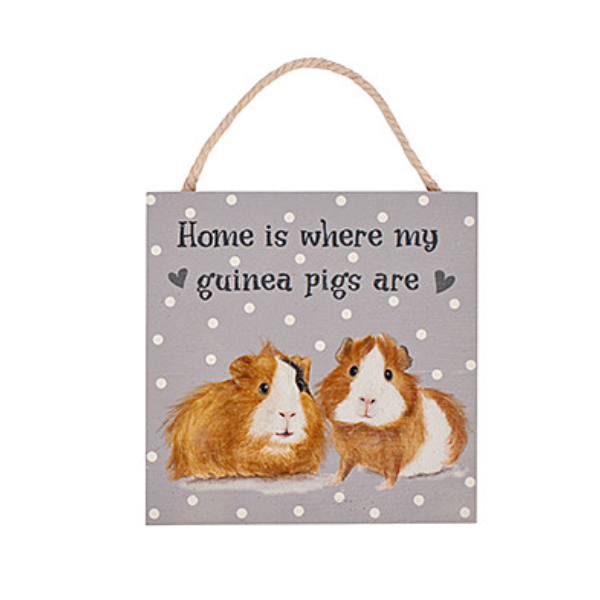Guinea Pig Mini Plaques