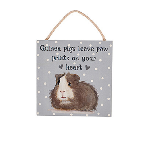 Guinea Pig Mini Plaques
