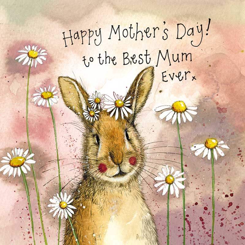 Alex Clark Mother's Day card with a rabbit and daisy design