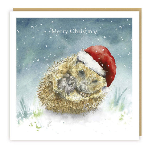 Love Country 'Dreaming of a White Christmas' Hedgehog Christmas Card - Binky Brothers