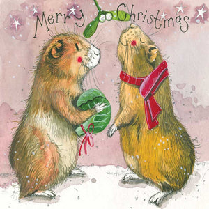 Alex Clark charity Christmas card pack with two guinea pigs below some mistletoe
