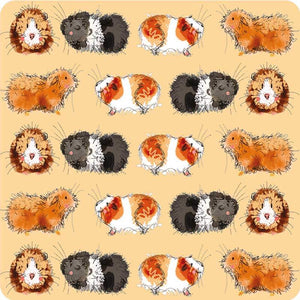 Alex Clark coaster with guinea pigs pattern