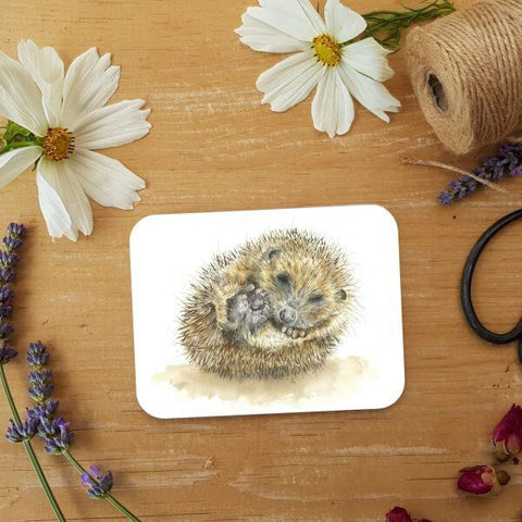 Love Country 'Forty Winks' Hedgehog Coaster - Binky Brothers