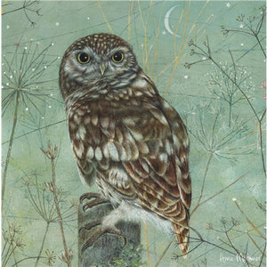 Enchanted Wildlife Owl Greeting Card - Binky Brothers