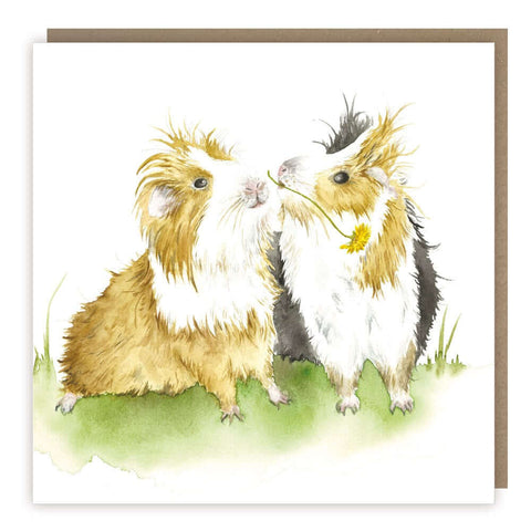 Love Country 'Guinea A Kiss' Guinea Pig Greeting Card - Binky Brothers
