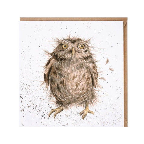 Wrendale Designs 'What a Hoot' Owl Greeting Card - Binky Brothers