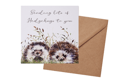 Langs Hedgehog Greeting Card - Binky Brothers