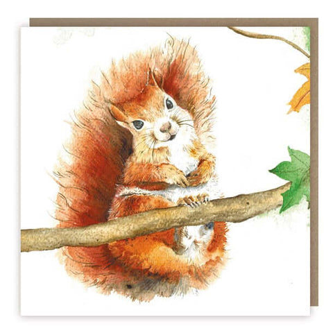 Love Country 'Mrs Coppertail' Squirrel Greeting Card - Binky Brothers