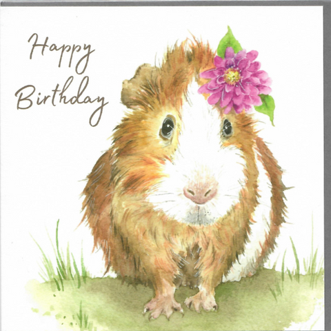 Love Country Guinea Pig Birthday Card