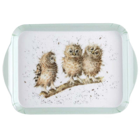 Owl Scatter Tray by Pimpernel Wrendale Designs - Binky Brothers