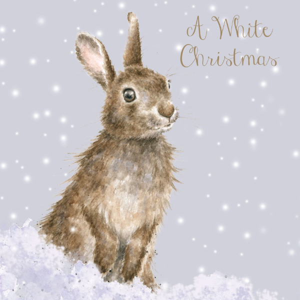 Wrendale Christmas card box set of 8 with a bunny stood against a snowy background